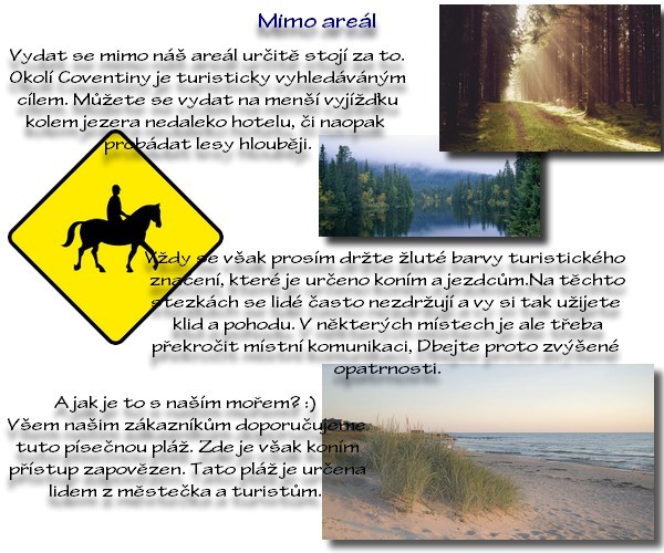 mimo arel 1