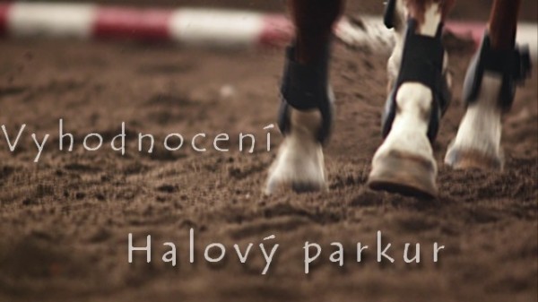 vyhodnocen HP